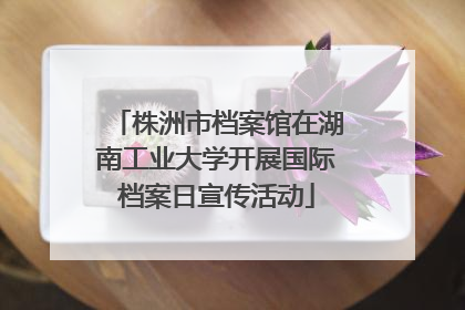 株洲市档案馆在湖南工业大学开展国际档案日宣传活动