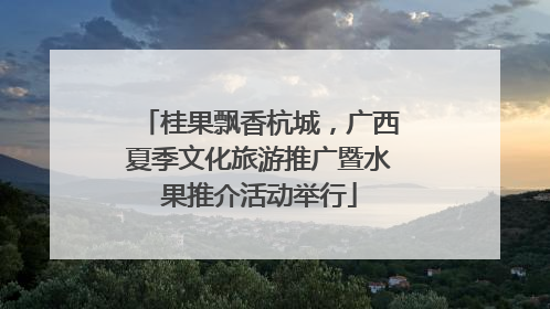 桂果飘香杭城，广西夏季文化旅游推广暨水果推介活动举行