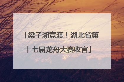 梁子湖竞渡！湖北省第十七届龙舟大赛收官