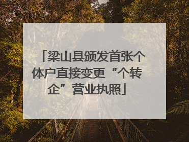 梁山县颁发首张个体户直接变更“个转企”营业执照
