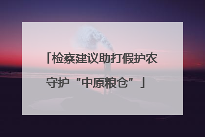 检察建议助打假护农守护“中原粮仓”