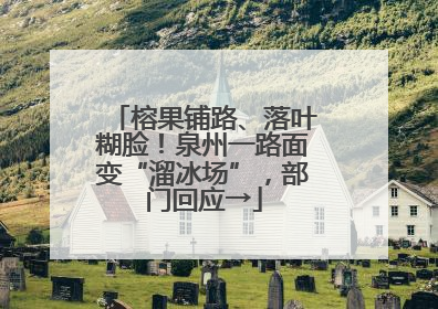 榕果铺路、落叶糊脸！泉州一路面变“溜冰场”，部门回应→
