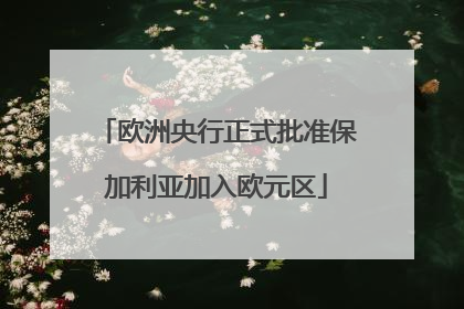 欧洲央行正式批准保加利亚加入欧元区