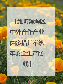潍坊滨海区中外合作产业园多措并举筑牢安全生产防线