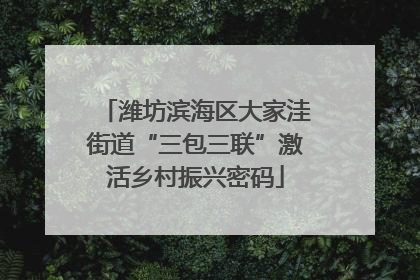 潍坊滨海区大家洼街道“三包三联”激活乡村振兴密码
