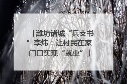 潍坊诸城“兵支书”李炜：让村民在家门口实现“就业”
