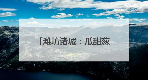 潍坊诸城：瓜甜葱郁处 产业好风光
