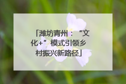 潍坊青州：“文化+”模式引领乡村振兴新路径