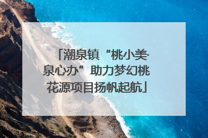 潮泉镇“桃小美·泉心办”助力梦幻桃花源项目扬帆起航