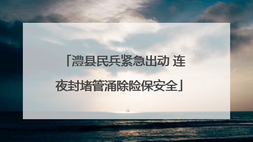 澧县民兵紧急出动 连夜封堵管涌除险保安全
