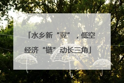 水乡新“翼”，低空经济“链”动长三角