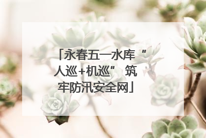 永春五一水库“人巡+机巡” 筑牢防汛安全网