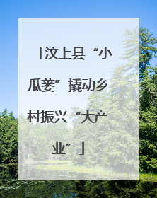 汶上县“小瓜蒌”撬动乡村振兴“大产业”