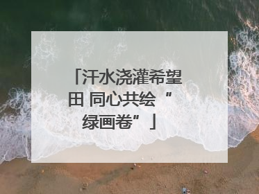 汗水浇灌希望田 同心共绘“绿画卷”