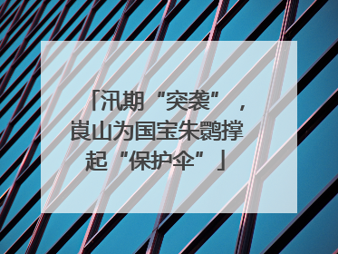汛期“突袭”，崀山为国宝朱鹮撑起“保护伞”