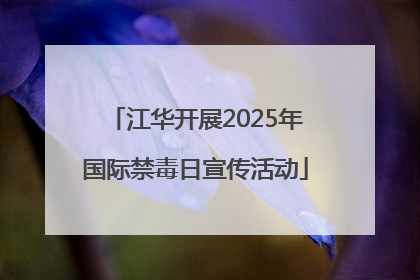 江华开展2025年国际禁毒日宣传活动