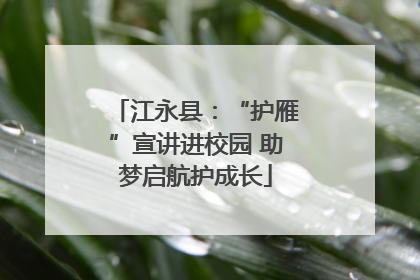 江永县：“护雁”宣讲进校园 助梦启航护成长
