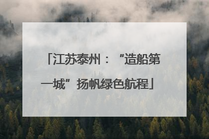 江苏泰州：“造船第一城”扬帆绿色航程
