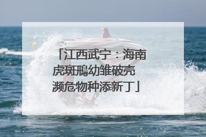 江西武宁：海南虎斑鳽幼雏破壳 濒危物种添新丁