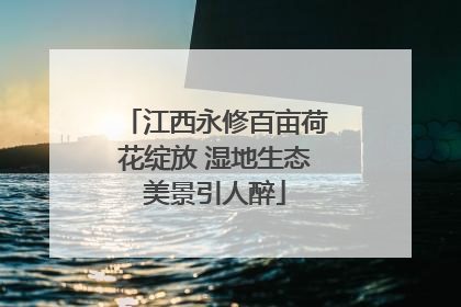 江西永修百亩荷花绽放 湿地生态美景引人醉