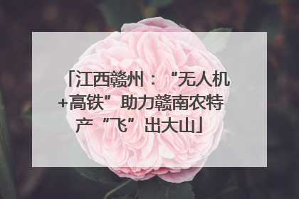 江西赣州：“无人机+高铁”助力赣南农特产“飞”出大山