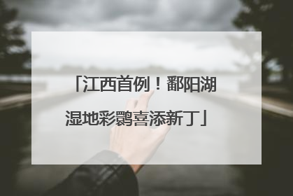 江西首例！鄱阳湖湿地彩鹮喜添新丁