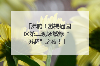 沸腾！苏锡通园区第二现场燃爆“苏超”之夜！