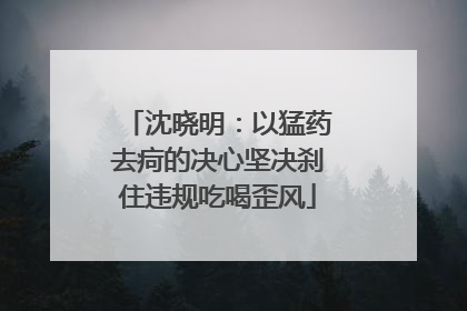 沈晓明：以猛药去疴的决心坚决刹住违规吃喝歪风
