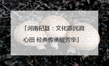 河南杞县：文化惠民润心田 经典传承绽芳华
