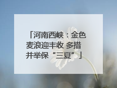 河南西峡：金色麦浪迎丰收 多措并举保“三夏”