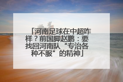 河南足球在中超咋样？前国脚赵鹏：要找回河南队“专治各种不服”的精神