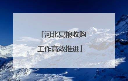河北夏粮收购工作高效推进