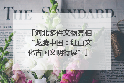河北多件文物亮相“龙腾中国：红山文化古国文明特展”