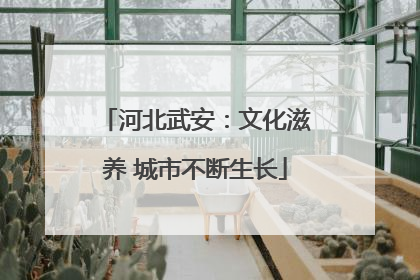 河北武安：文化滋养 城市不断生长