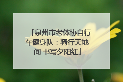 泉州市老体协自行车健身队：骑行天地间 书写夕阳红