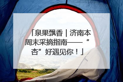 泉果飘香｜济南本周末采摘指南——“杏”好遇见你！