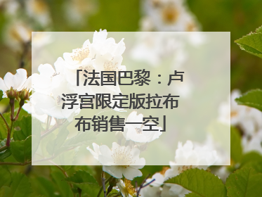 法国巴黎：卢浮宫限定版拉布布销售一空