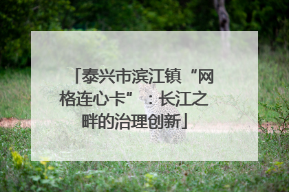 泰兴市滨江镇“网格连心卡”：长江之畔的治理创新