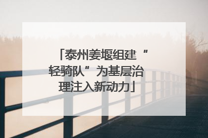 泰州姜堰组建“轻骑队”为基层治理注入新动力
