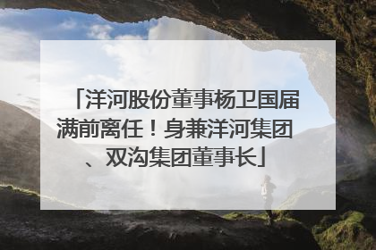 洋河股份董事杨卫国届满前离任！身兼洋河集团、双沟集团董事长
