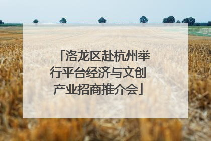 洛龙区赴杭州举行平台经济与文创产业招商推介会