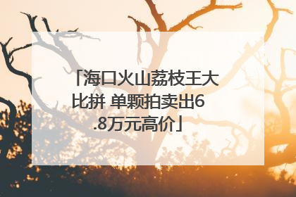 海口火山荔枝王大比拼 单颗拍卖出6.8万元高价