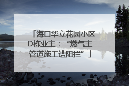 海口华立花园小区D栋业主：“燃气主管道施工遭阻拦”