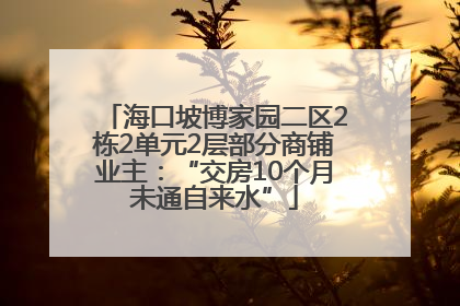 海口坡博家园二区2栋2单元2层部分商铺业主：“交房10个月未通自来水”
