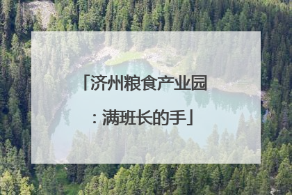 济州粮食产业园：满班长的手