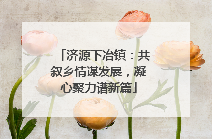 济源下冶镇：共叙乡情谋发展，凝心聚力谱新篇