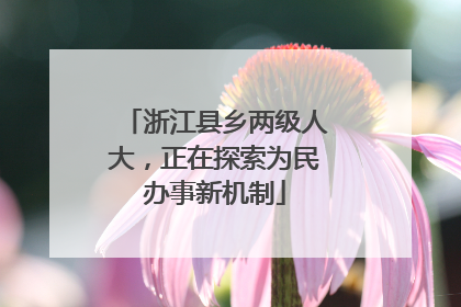 浙江县乡两级人大，正在探索为民办事新机制