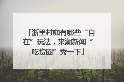 浙里村咖有哪些“自在”玩法，来潮新闻“吃货圈”秀一下