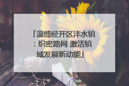 淄博经开区沣水镇：织密路网 激活镇域发展新动能