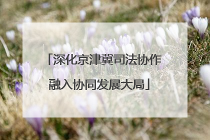 深化京津冀司法协作 融入协同发展大局